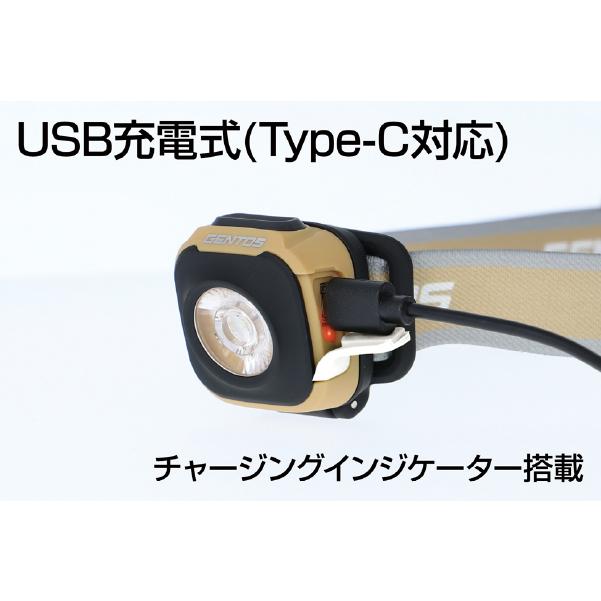 Ganz GENTOS 充電式ヘッドライト CP-360RAB ジェントス LED