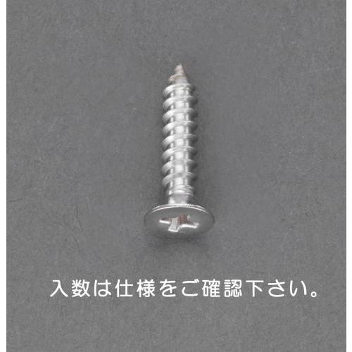 エスコ 3 x 6mm 皿頭タッピングビス(ステンレス製/45本) EA949AL