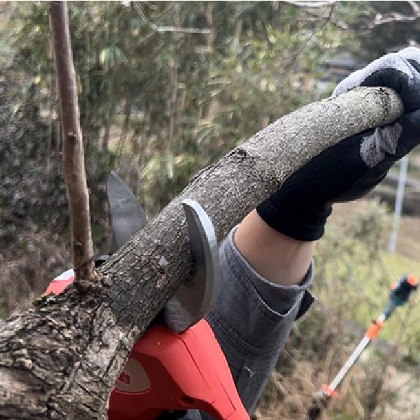 ALUMIS 枝切っ太郎 充電式電動剪定はさみ EDT-40M アルミス 電動工具