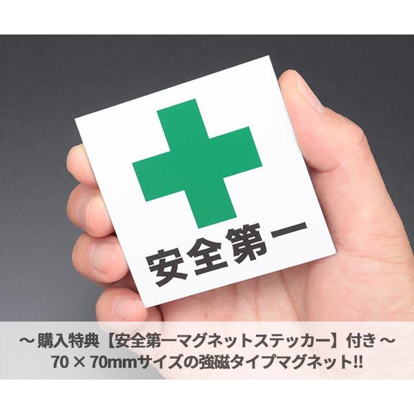 ASICS（アシックス） [特典付き] [限定カラー] 安全靴 FCP203-700