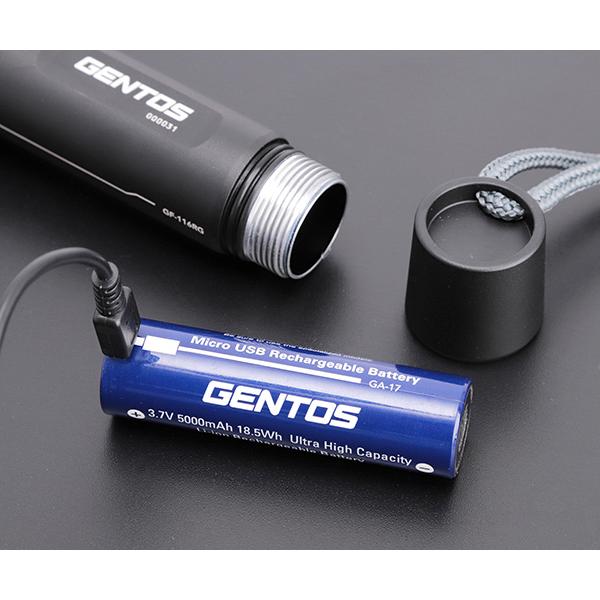 GENTOS ハイエンドモデル Gシリーズ 充電式ハンディライト アルカリ乾電池 単4形10本 GF-114RG HDLR03 1.5V10P