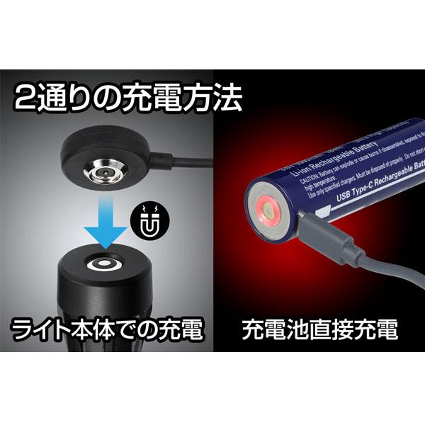 Gシリーズ ジェントス LEDライト GF-216RG 1250lm 無段階調光 USB充電