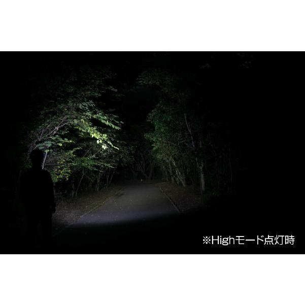Ganz GENTOS ヘッドライト GT-701D ジェントス LEDライト 430ルーメン