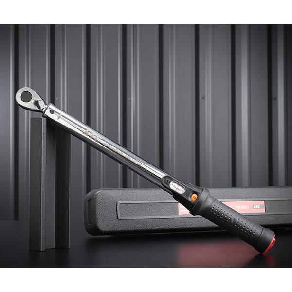 即中斎好 嶋台 茶碗 金銀一双 佐々木 昭楽 茶道具 f236