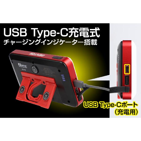 GENTOS GZ-316 2セット新品 GENTOS（ジェントス） GENTOS GANZ ガンツ LEDワークライト ポーチ付き