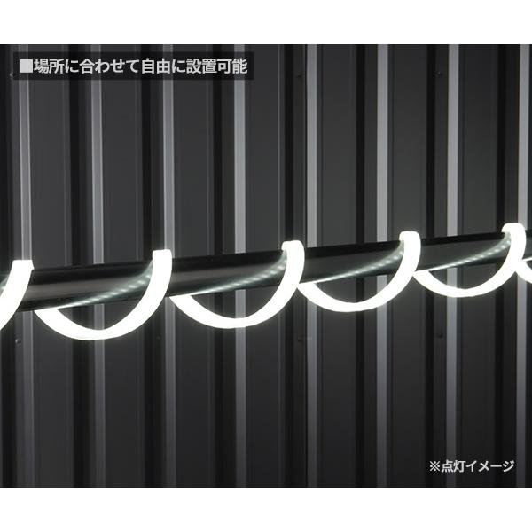 Ganz ジェントス テープライト 10m 両面発光 アダプター付き (GZS-10MB