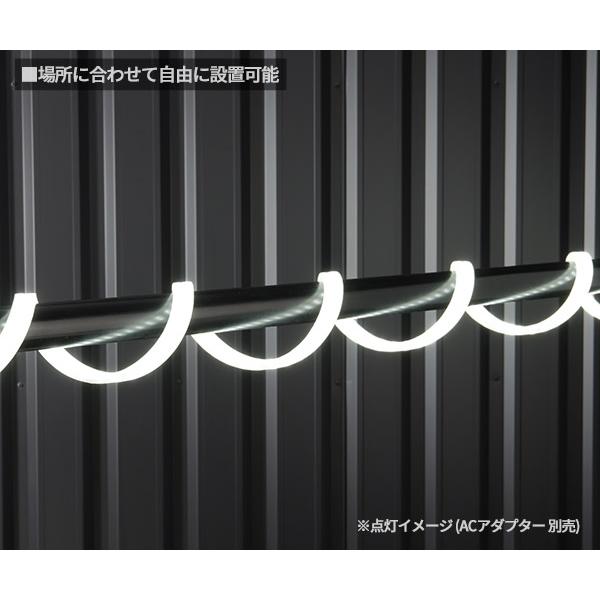 Ganz ジェントス テープライト 10m 両面発光 単体 (GZS-10MB