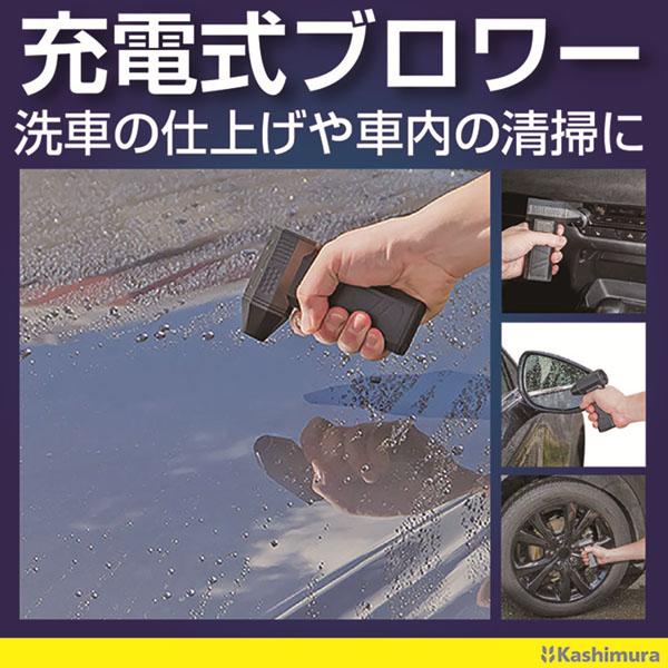 カシムラ 充電式ミニブロワー 3段階風量調整 ノズル4種付 USB Type-C