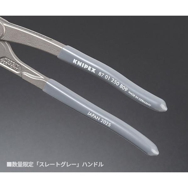 KNIPEX（クニペックス） 日本正規品 コブラ ウォーターポンプ