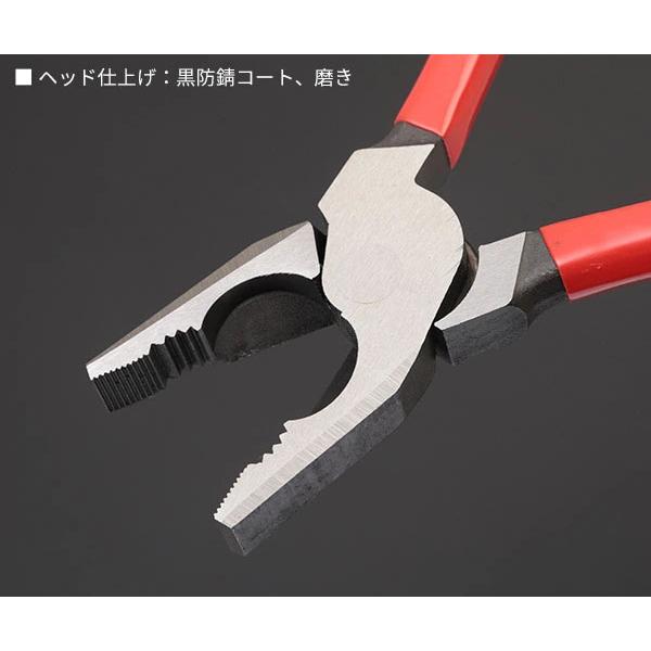 KNIPEX（クニペックス） 日本正規品 強力型ペンチ (0201-225