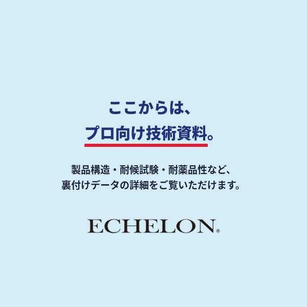 エシュロン ヘッドライトプロテクションフィルム レクサス GS 10系 H24