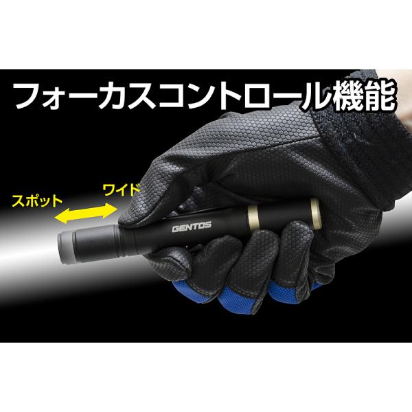 REXEED GENTOS 充電式 LEDハンディライト レクシード RX-304R