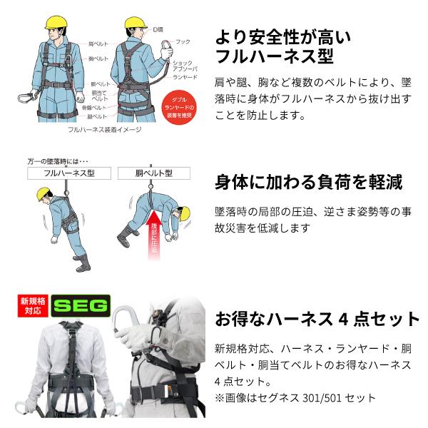 タジマ セグネス501 M (SEGNES501) ランヤード一体型セット M タジマ セグネス501 M (SEGNES501) ランヤード一体型セット M