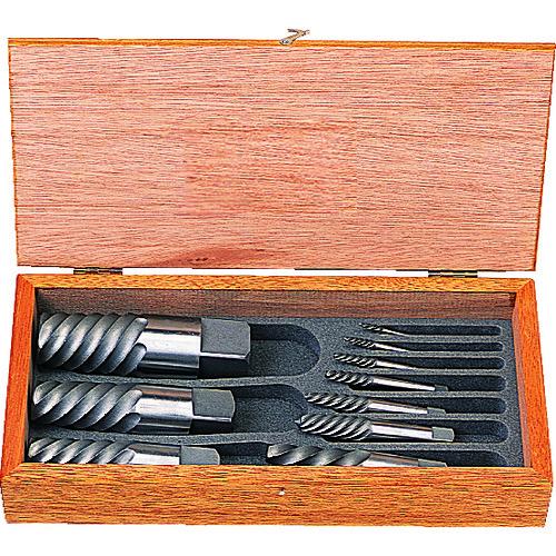 BRIDEAR HELIX 未開封 特典DVD-R