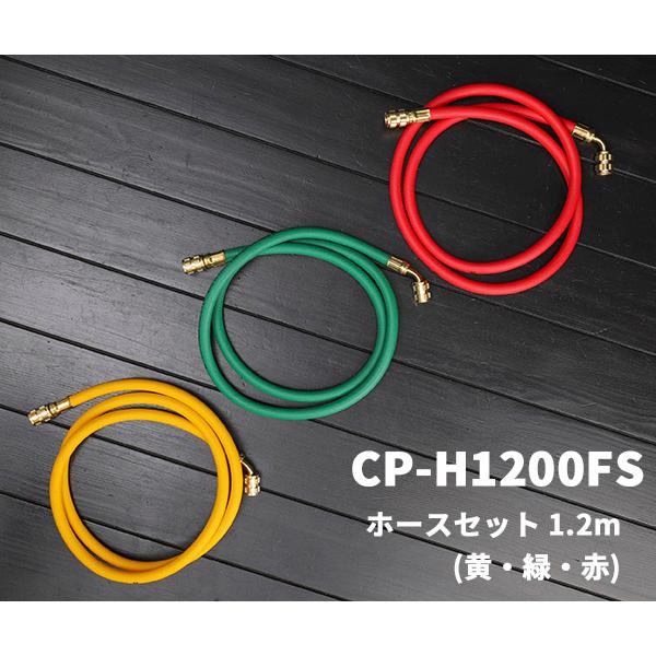 DENGEN デンゲン ハイブリッドPOE専用ガスチャージセット YM-134H