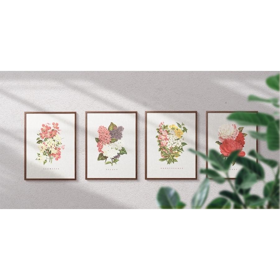 アートポスター 北欧 ポスター おしゃれ A3 B2 A1 B1 大判 大型 シンプル 人気のデザイン クレマチス 花 Ap Clematis Wall Decor E Hina 通販 Yahoo ショッピング
