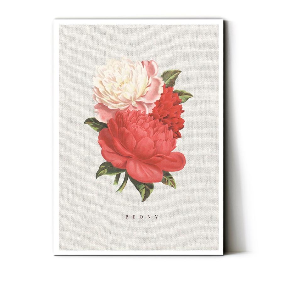 アートポスター 北欧 ポスター おしゃれ A3 B2 A1 B1 特大 大きい ボタニカル 花 人気 デザイン 芍薬 ピオニー Ap Peony Wall Decor E Hina 通販 Yahoo ショッピング