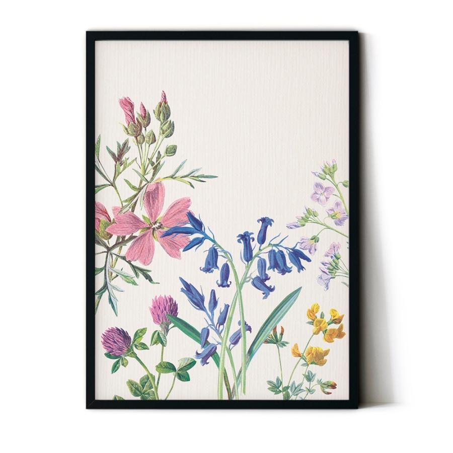 アートポスター 北欧 ポスター おしゃれ サイズ２枚セット 福袋 シンプル インテリア 花 植物 デザイン ボタニカル Dp Botanical2 Wall Decor E Hina 通販 Yahoo ショッピング