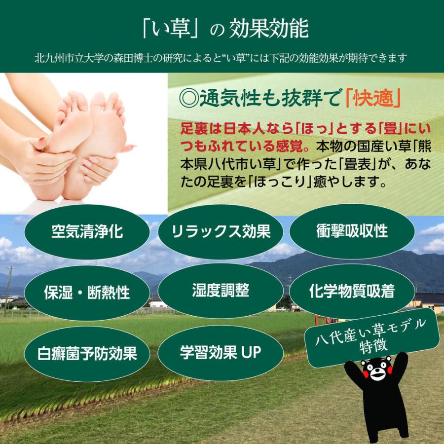 NEW足ゆび運動ぞうり 八代産い草モデル +プラス 送料無料 メーカー直販 外反母趾サンダル |  | 07
