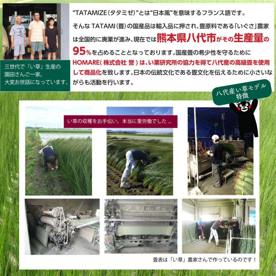 NEW足ゆび運動ぞうり 八代産い草モデル +プラス 送料無料 メーカー直販 外反母趾サンダル |  | 08