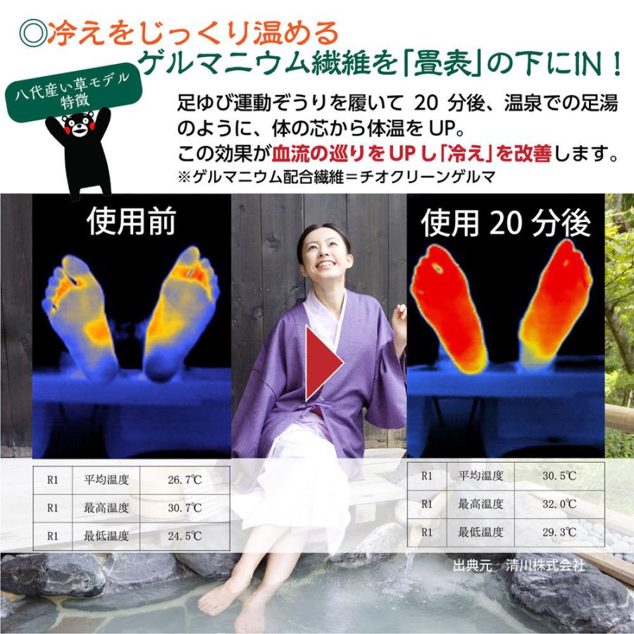 NEW足ゆび運動ぞうり 八代産い草モデル +プラス 送料無料 メーカー直販 外反母趾サンダル |  | 09