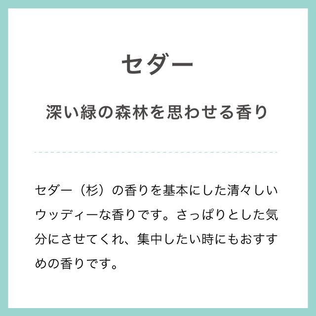 線香 お香 リラックスタイム 紺碧の海辺  爽やか 香り オシャレ  小型 パッケージ ギフト 爽やかな香り 20本入  燃焼時間約15分 ルームインセンス セダー｜ehon-netcom｜04