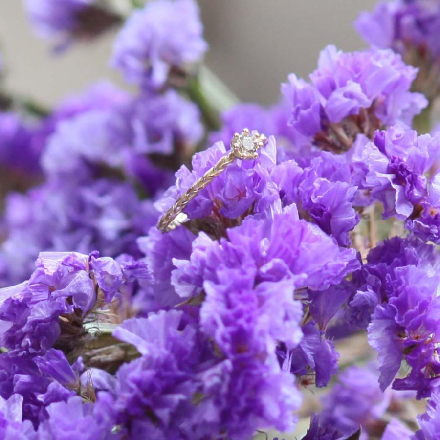 hirondelle et pepin（イロンデールエペパン）/ k18 hr-22fw-587 レ・リッド・ダン・ロー ブラウンダイヤ リング | hirondelle | 05