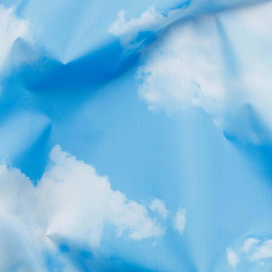 BAGGU バグー エコバッグ STANDARD リサイクル ポリエステル クラウド 2023年 新色 青 空 雲 洗濯可能 折り畳み コンパクト 軽量 ショルダー 大容量 レジバッ… | BAGGU | 01