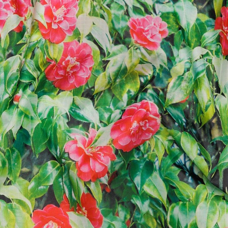 BAGGU バグー エコバッグ  カメリア100%リサイクルポリエステルSTANDARD スタンダード サイズ 大きい 大容量 ショルダー 洗濯可能 折り畳み コンパクト 軽量 … | BAGGU | 02