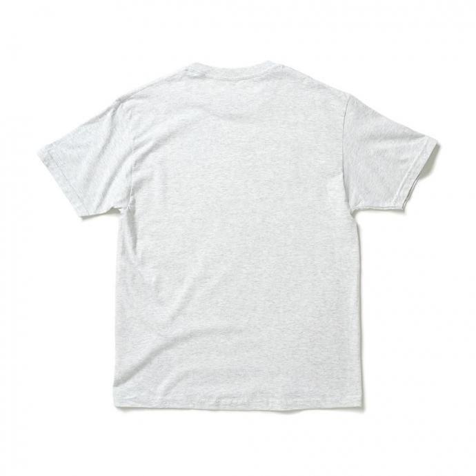 Cotton Expressions / IMAGINATION プリントTシャツ - Ash アッシュ |  | 01