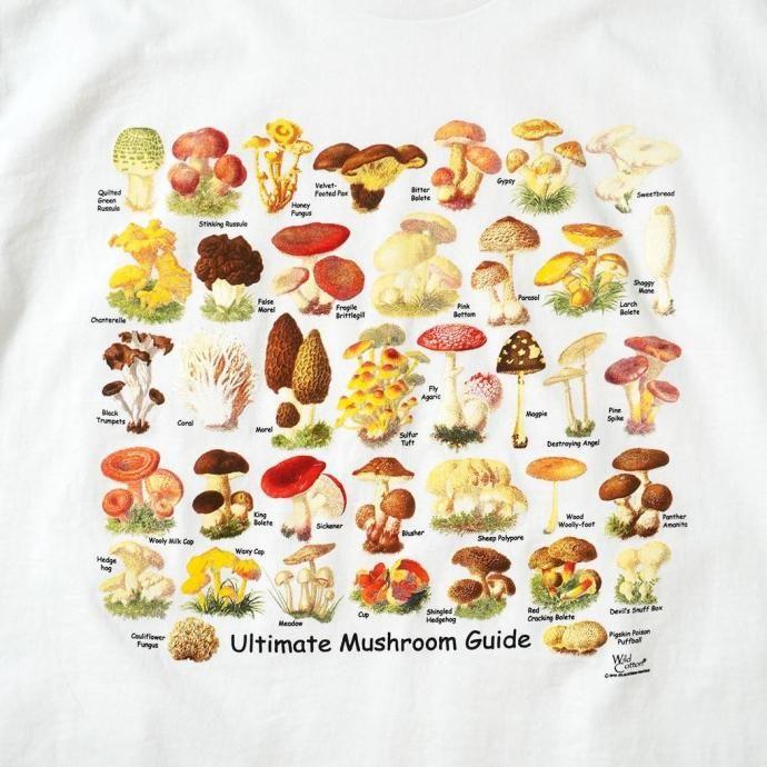 Atlas Screen Printing / Ultimate Mushroom Guide - White キノコ プリントTシャツ 別注ホワイト Wild Cotton Tee |  | 02