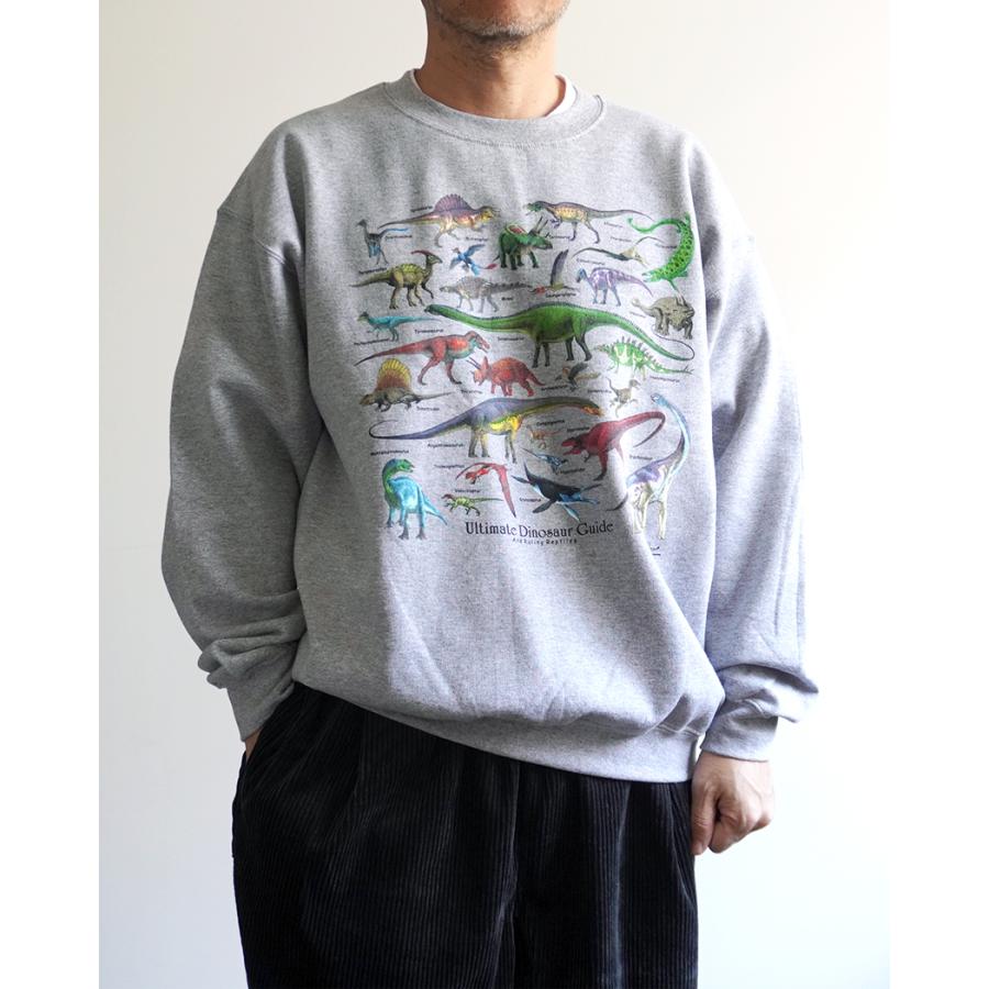 Atlas Screen Printing / Ultimate Dinosaur Guide - Grey 恐竜 スウェットシャツ 別注グレーボディ |  | 10