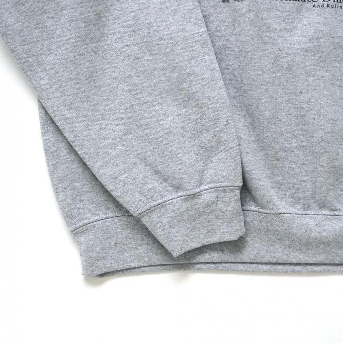 Atlas Screen Printing / Ultimate Dinosaur Guide - Grey 恐竜 スウェットシャツ 別注グレーボディ |  | 04