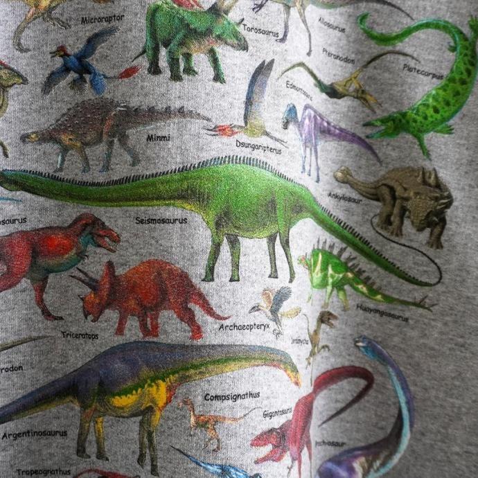 Atlas Screen Printing / Ultimate Dinosaur Guide - Grey 恐竜 スウェットシャツ 別注グレーボディ |  | 05