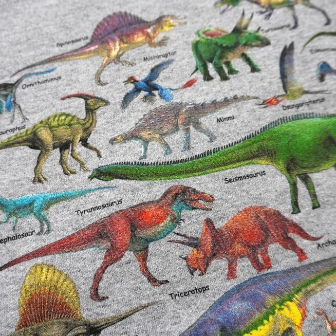 Atlas Screen Printing / Ultimate Dinosaur Guide - Grey 恐竜 スウェットシャツ 別注グレーボディ |  | 06