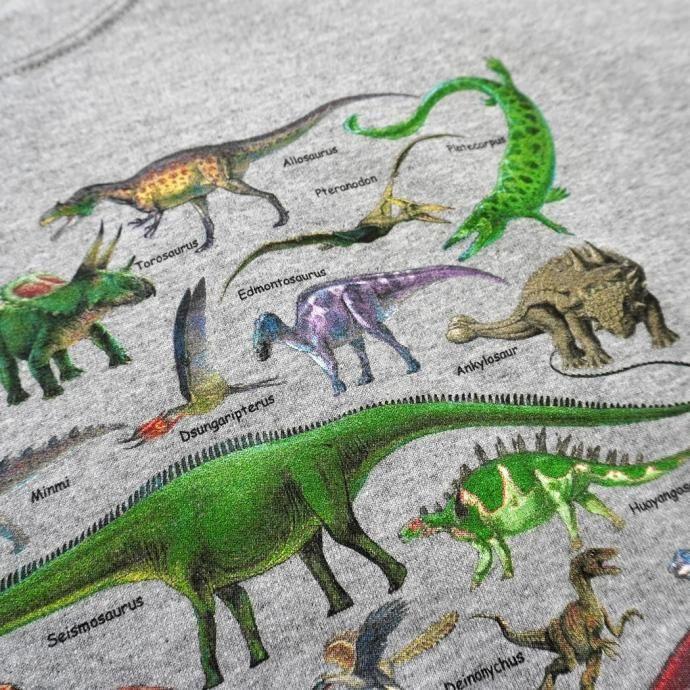 Atlas Screen Printing / Ultimate Dinosaur Guide - Grey 恐竜 スウェットシャツ 別注グレーボディ |  | 07
