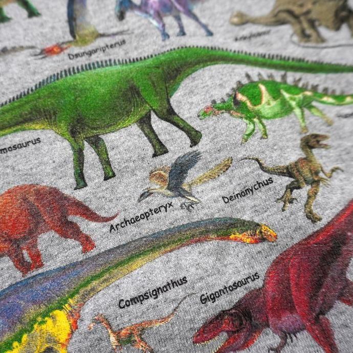 Atlas Screen Printing / Ultimate Dinosaur Guide - Grey 恐竜 スウェットシャツ 別注グレーボディ |  | 08