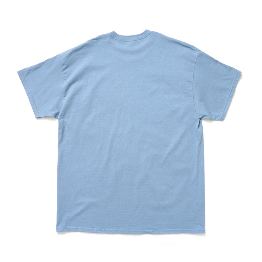 Atlas Screen Printing / Birds Without Borders 渡り鳥 プリントTシャツ - Stone Blue ストーンブルー Wild Cotton Tee |  | 01