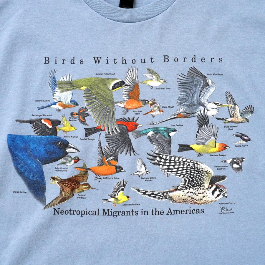 Atlas Screen Printing / Birds Without Borders 渡り鳥 プリントTシャツ - Stone Blue ストーンブルー Wild Cotton Tee |  | 02