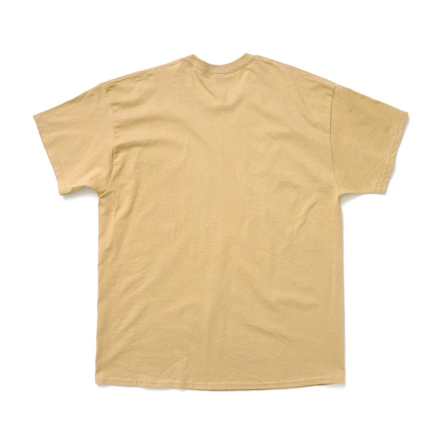 Atlas Screen Printing / American Raptors 猛禽類 プリントTシャツ - Tan タン Wild Cotton Tee |  | 01