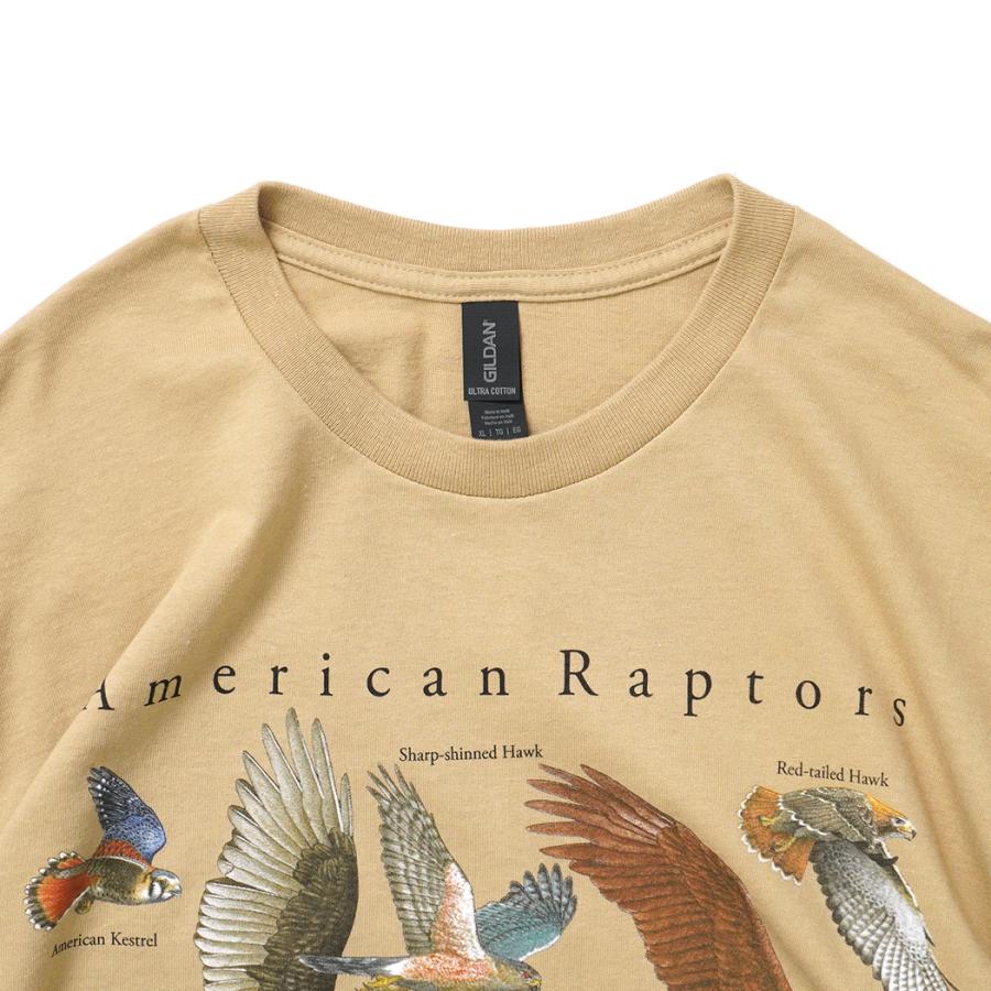 Atlas Screen Printing / American Raptors 猛禽類 プリントTシャツ - Tan タン Wild Cotton Tee |  | 02