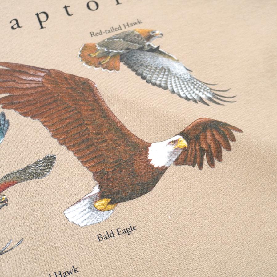 Atlas Screen Printing / American Raptors 猛禽類 プリントTシャツ - Tan タン Wild Cotton Tee |  | 04
