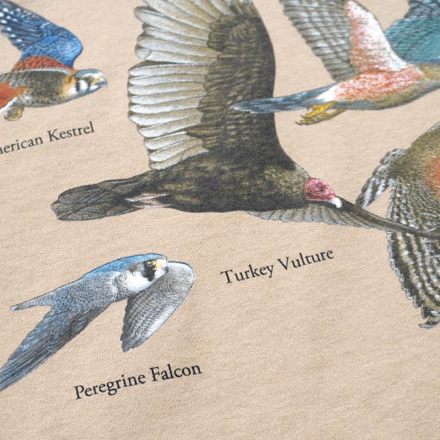 Atlas Screen Printing / American Raptors 猛禽類 プリントTシャツ - Tan タン Wild Cotton Tee |  | 05