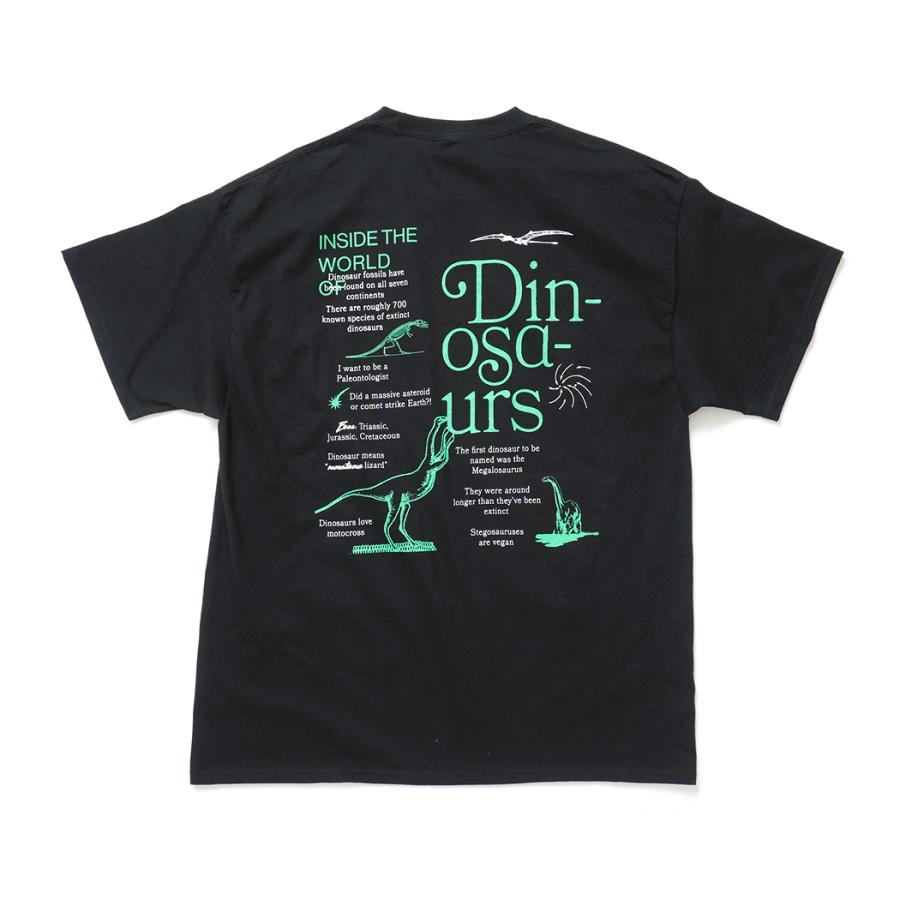 Factual Graphics / Facts About Dinosaurs ファクチュアル グラフィックス ダイナソーズ Tシャツ 恐竜 ブラック |  | 01
