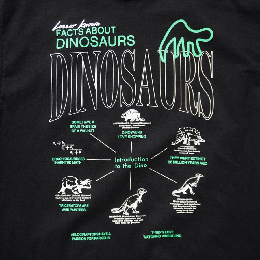 Factual Graphics / Facts About Dinosaurs ファクチュアル グラフィックス ダイナソーズ Tシャツ 恐竜 ブラック |  | 02