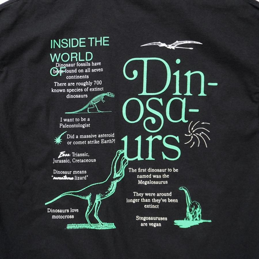 Factual Graphics / Facts About Dinosaurs ファクチュアル グラフィックス ダイナソーズ Tシャツ 恐竜 ブラック |  | 03