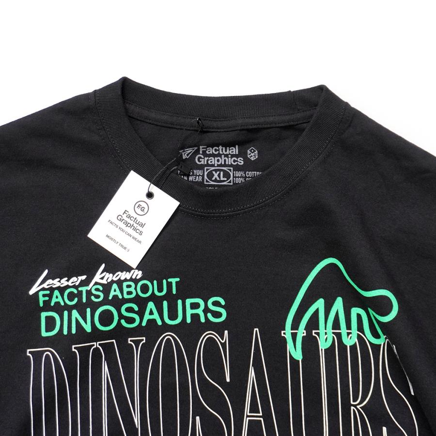Factual Graphics / Facts About Dinosaurs ファクチュアル グラフィックス ダイナソーズ Tシャツ 恐竜 ブラック |  | 04
