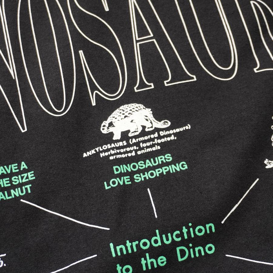 Factual Graphics / Facts About Dinosaurs ファクチュアル グラフィックス ダイナソーズ Tシャツ 恐竜 ブラック |  | 05
