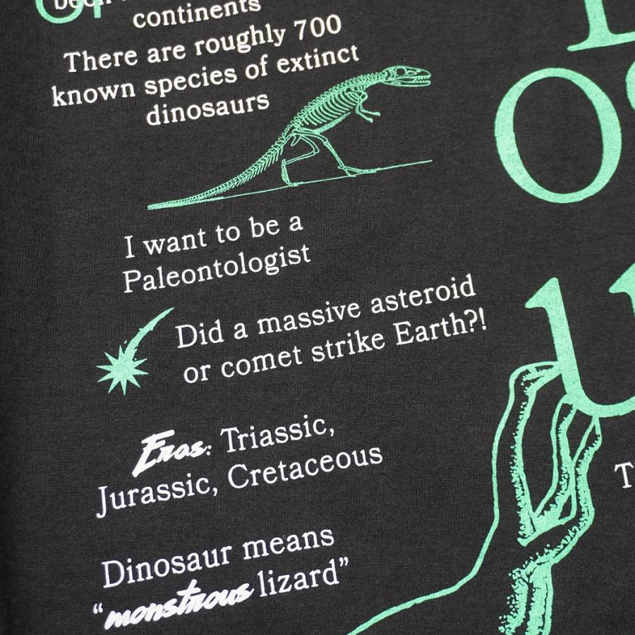 Factual Graphics / Facts About Dinosaurs ファクチュアル グラフィックス ダイナソーズ Tシャツ 恐竜 ブラック |  | 06