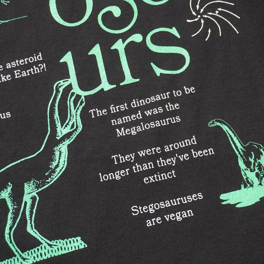 Factual Graphics / Facts About Dinosaurs ファクチュアル グラフィックス ダイナソーズ Tシャツ 恐竜 ブラック |  | 07